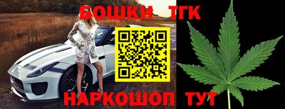 стаф Новодвинск
