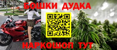 стаф Новодвинск